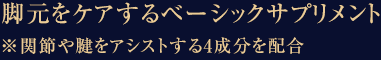 選び抜かれた4成分が関節＆腱を強力にサポート