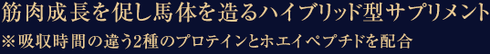筋肉成長を促し馬体を造るハイブリッド型サプリメント